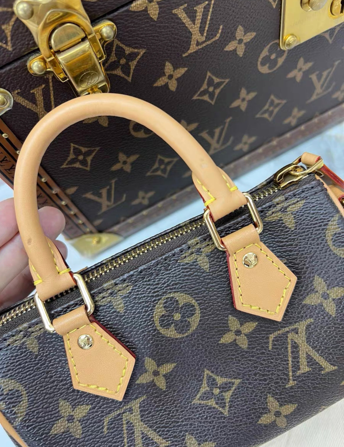 LOUIS VUITTON NANO SPEEDY VIVIENNE CHRISTMAS EDITION 2023