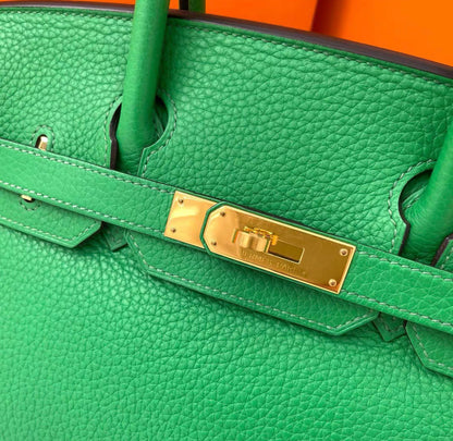 HERMÈS BIRKIN 30 BAMBOU TOGO LEATHER GOLD HARDWARE