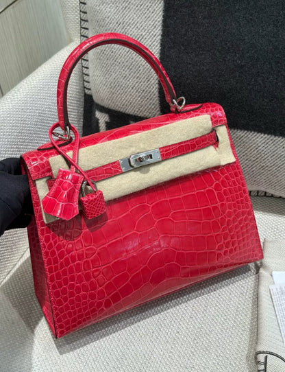 Hermès Kelly 25 Braise Shiny Alligator Palladium Hardware