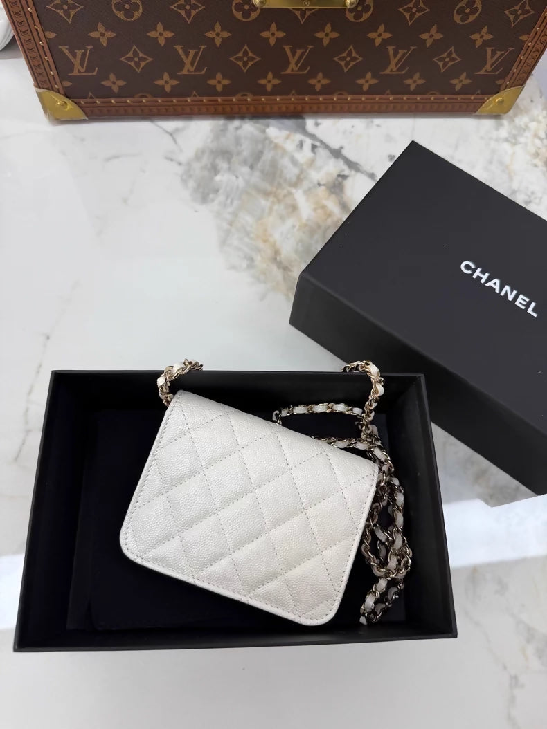 Chanel VIC Gift Set with Multicolored Gemstones and Double C Chain Bag,