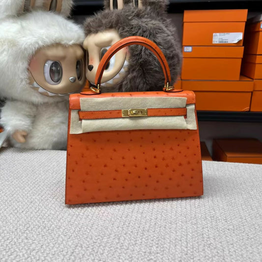 Hermes bag (2)