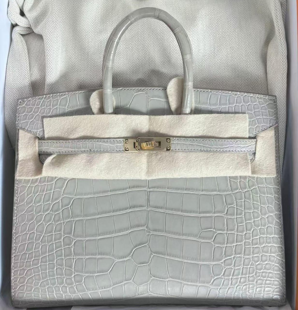 Hermes Birkin 25 Sellier Gris Perle Matte Alligator Gold hardware