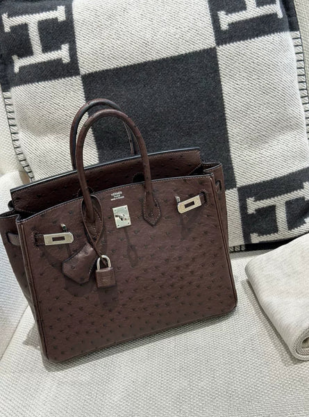 Hermès Birkin 25 Chocolate Ostrich Palladium Hardware - Wararni