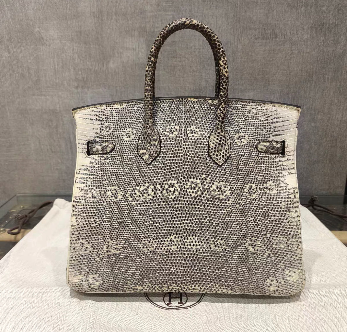 HERMÈS BIRKIN 25 SELLIER OMBRE LIZARD PALLADIUM HARDWARE