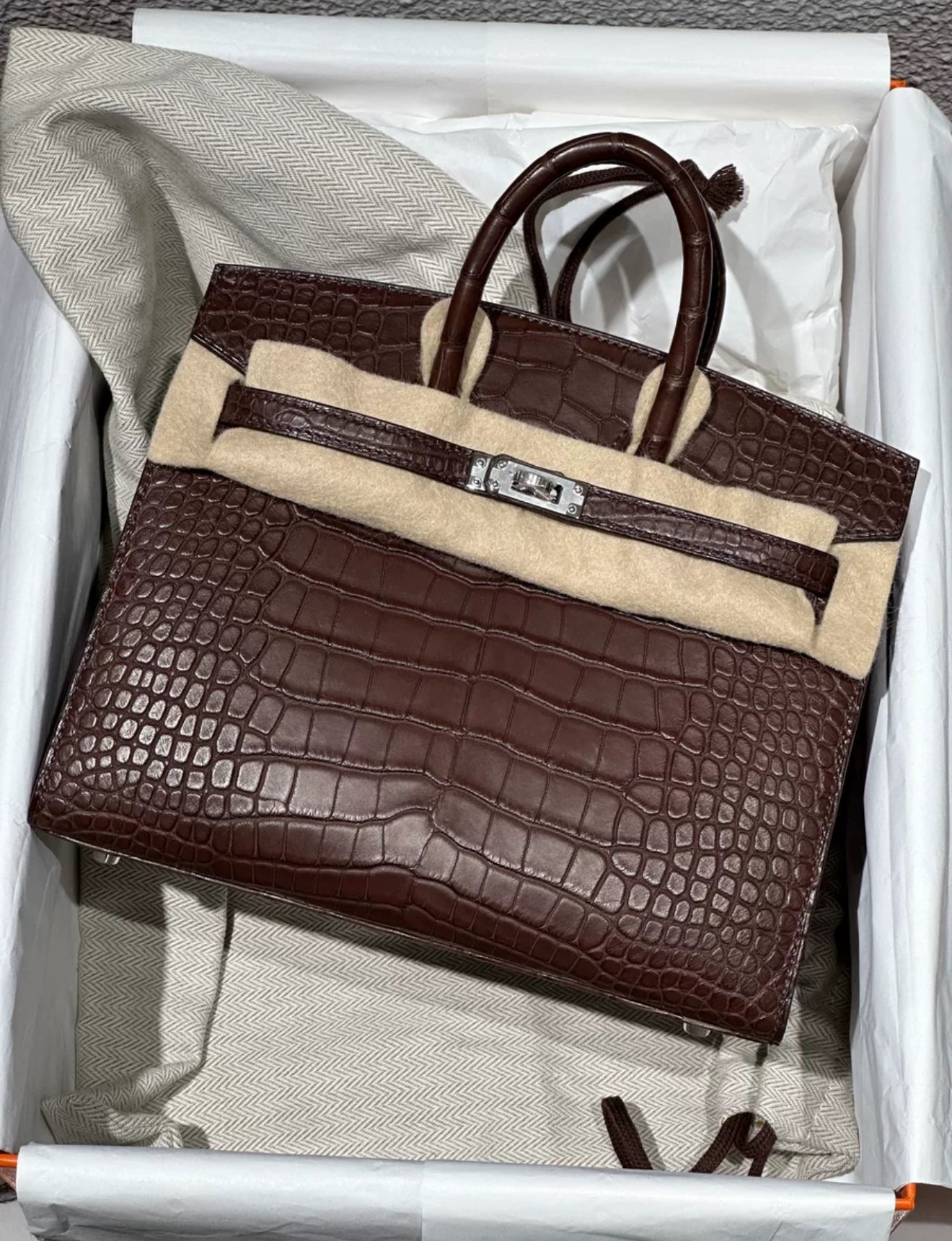 Hermes Birkin 20 Havana Matte Crocodile Leather Palladium Hardware