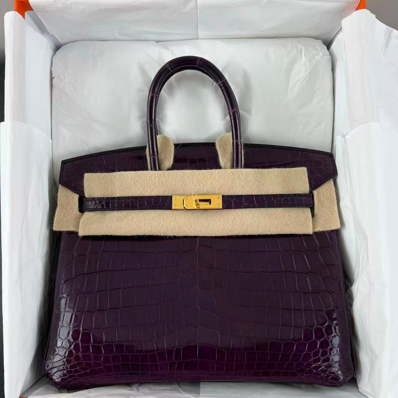 Hermes Birkin 25 Aubergine Ghw Shiny Nilo leather gold hardware