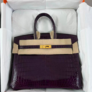 Hermes Birkin 25 Aubergine Ghw Shiny Nilo leather gold hardware