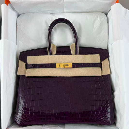 Hermes Birkin 25 Aubergine Ghw Shiny Nilo leather gold hardware