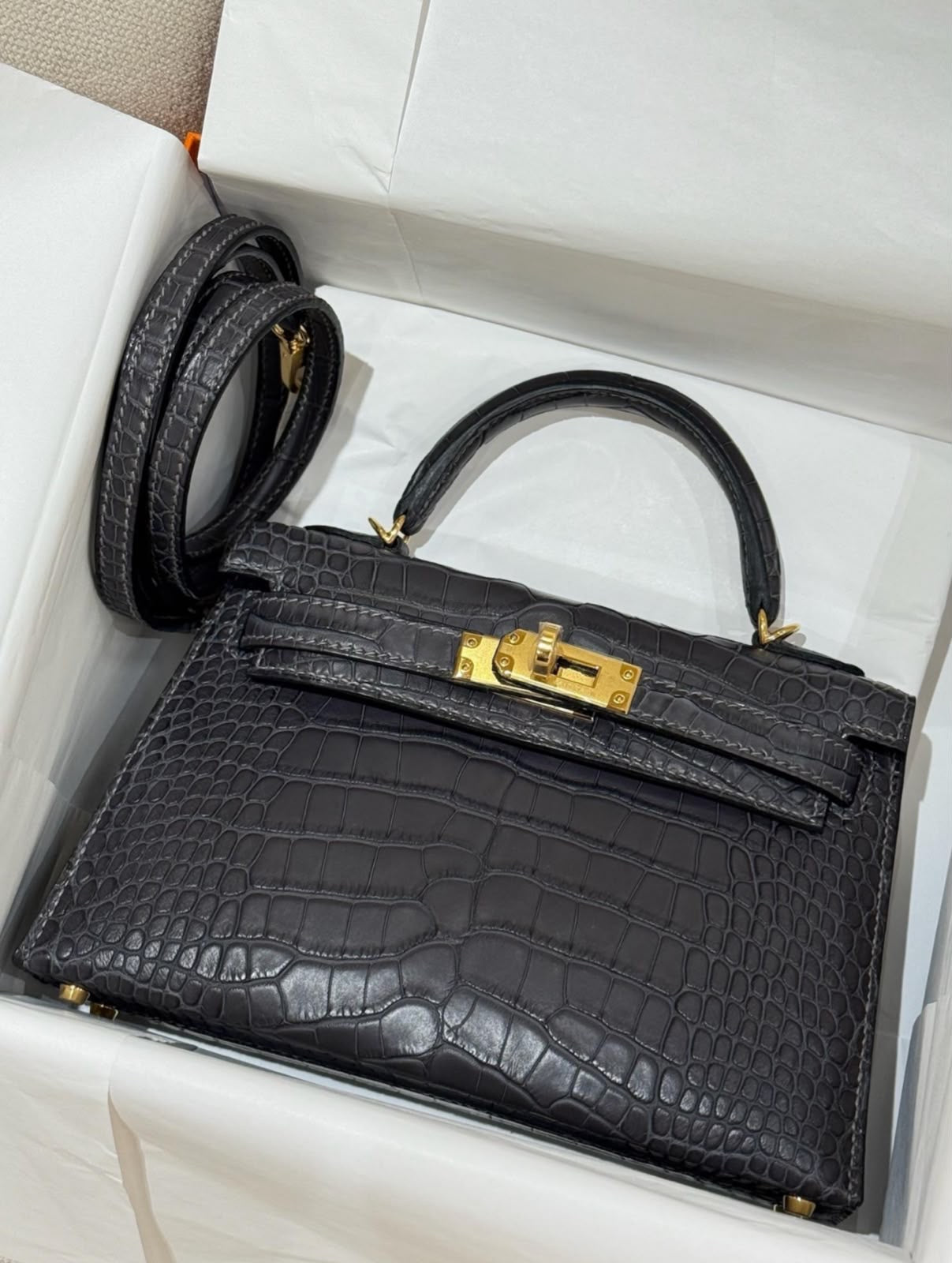 Hermes Mini Kelly 20 Graphite Matte Alligator Gold Hardware
