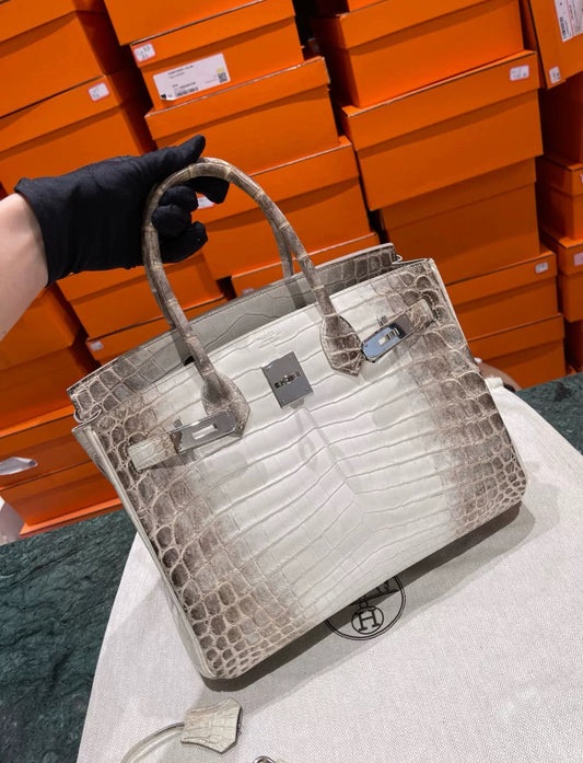 Hermes birkin 30 Himalaya crocodile leather palladium hardware