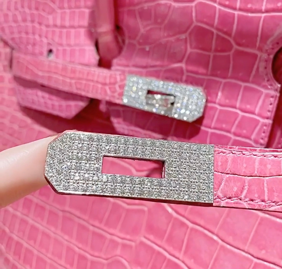 Hermes Birkin 35 Crocodile Porosus white gold with diamonds bag