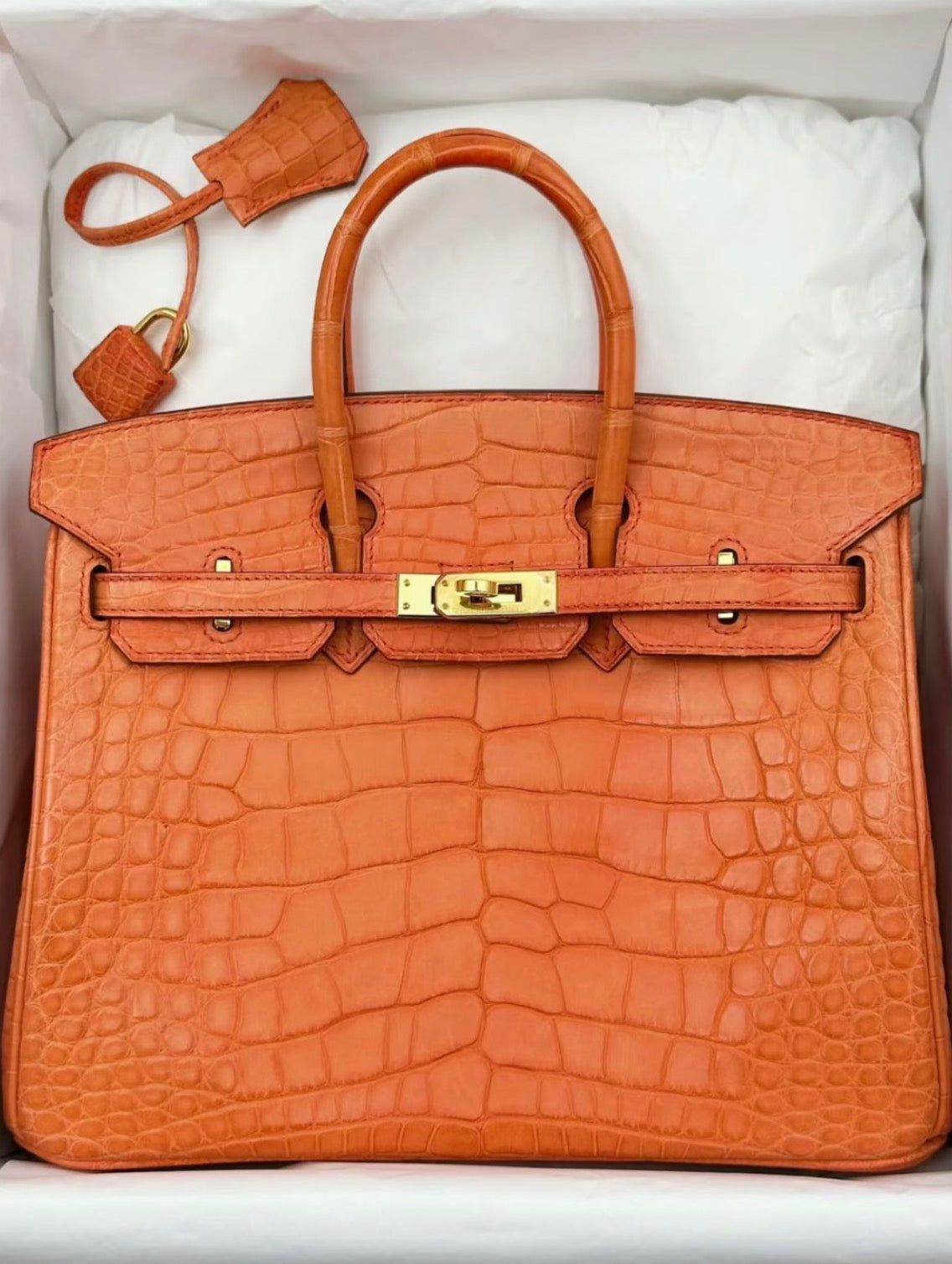 Hermes Birkin 25 Orange poppy matte alligator gold hardware