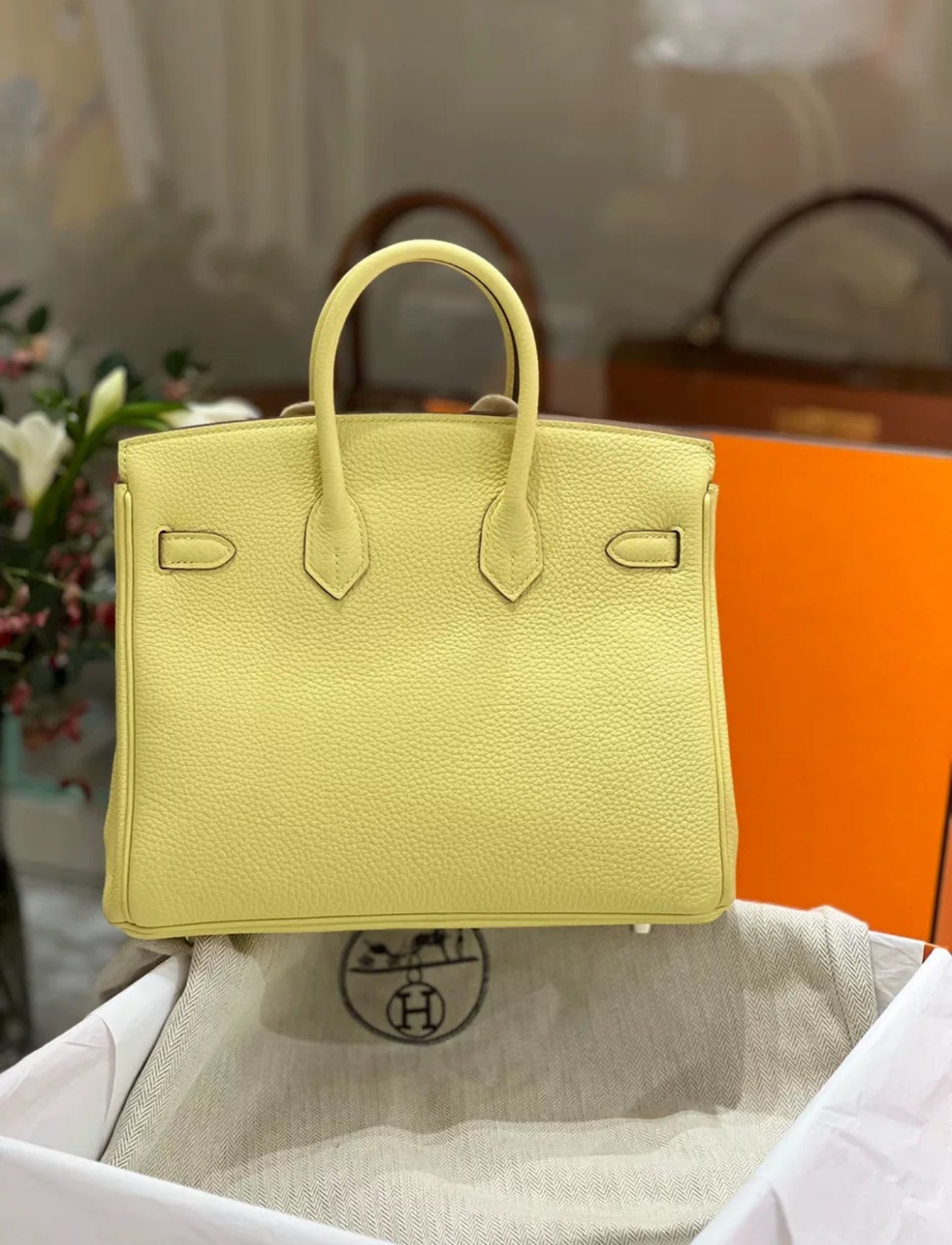 Hermes Birkin 25 Jaune Poussin Togo Leather Palladium Hardware Handbag