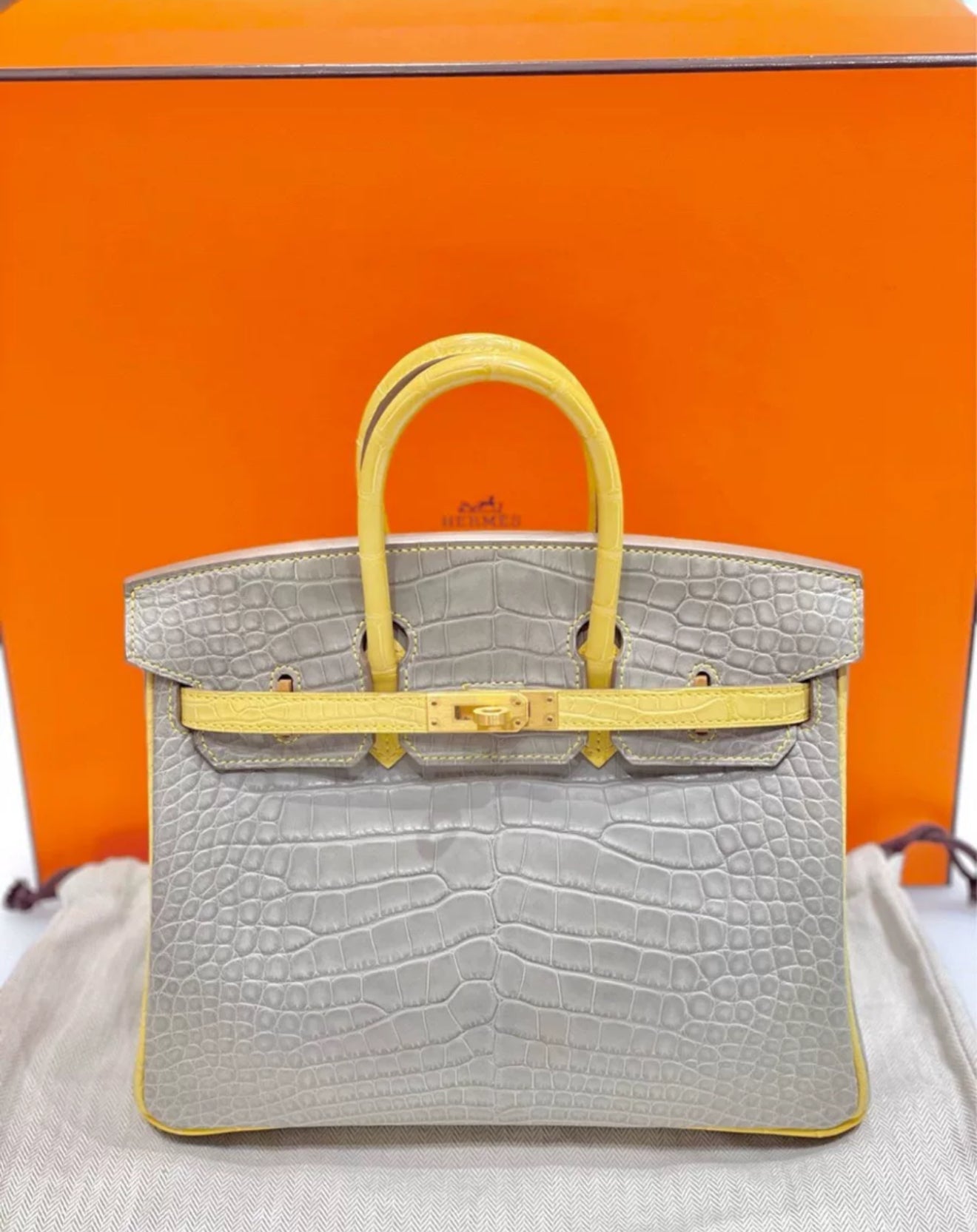 Hermès Birkin 25 Gris Perle and Mimosa Matte Alligator Brushed