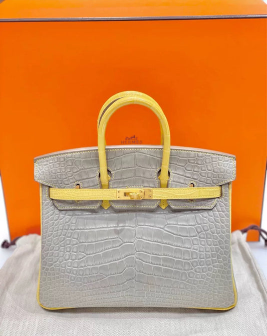 Hermès Birkin 25 Gris Perle and Mimosa Matte Alligator Brushed Gold Hardware