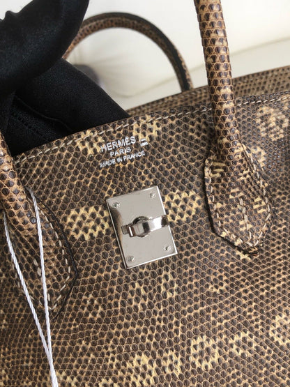 Hermès Birkin 25 Ombre Varanus Salvator Lizard Palladium Hardware