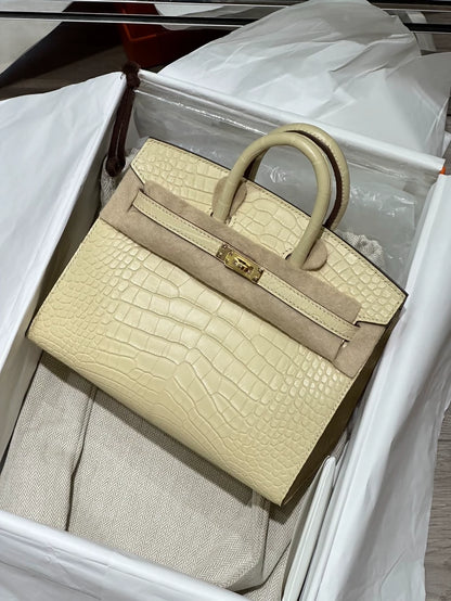 Hermes Birkin 20 Y1 vanille matte Alligator leather gold hardware
