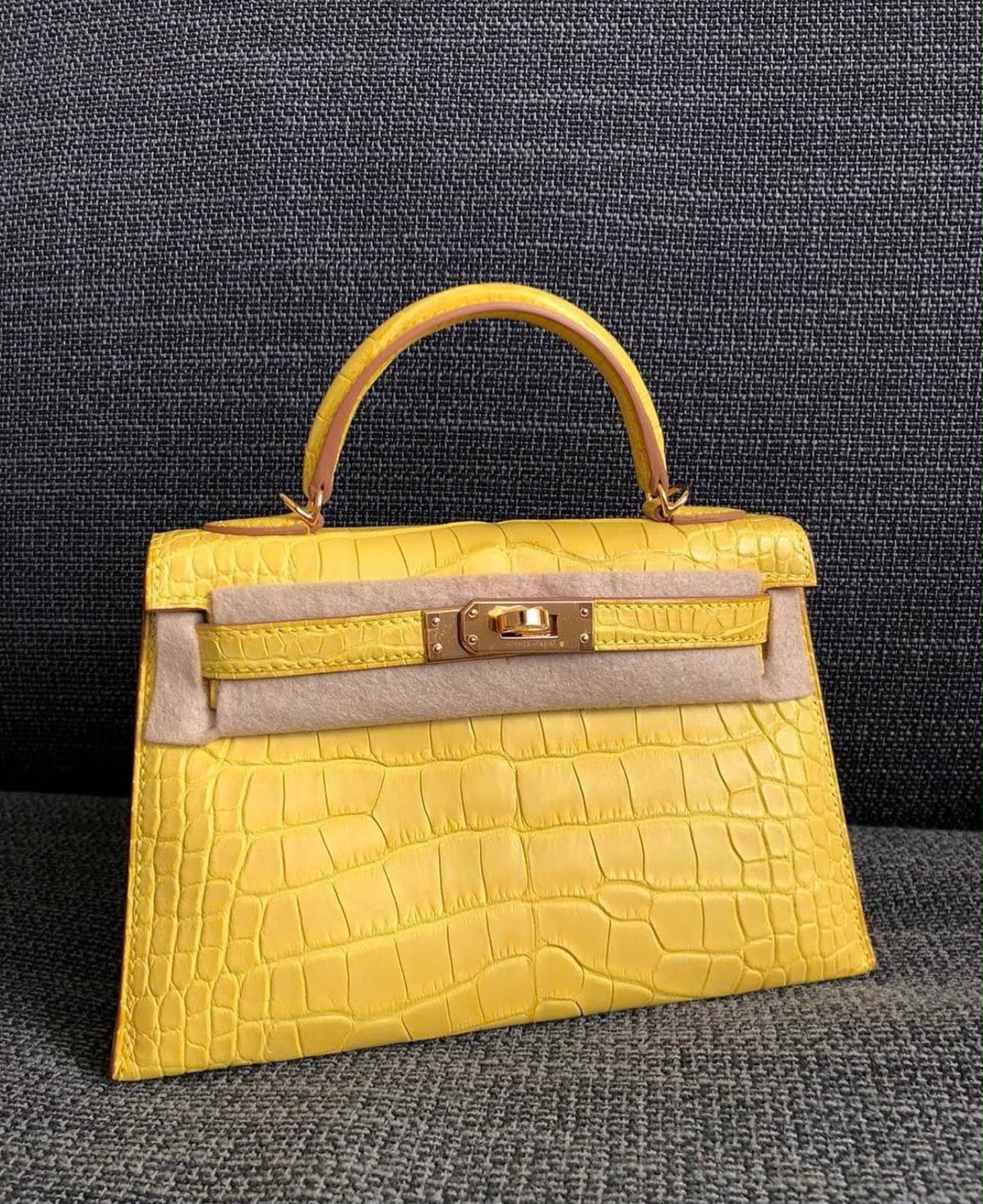 Hermes Mini Kelly 20 Mimosa Matte Alligator Gold hardware