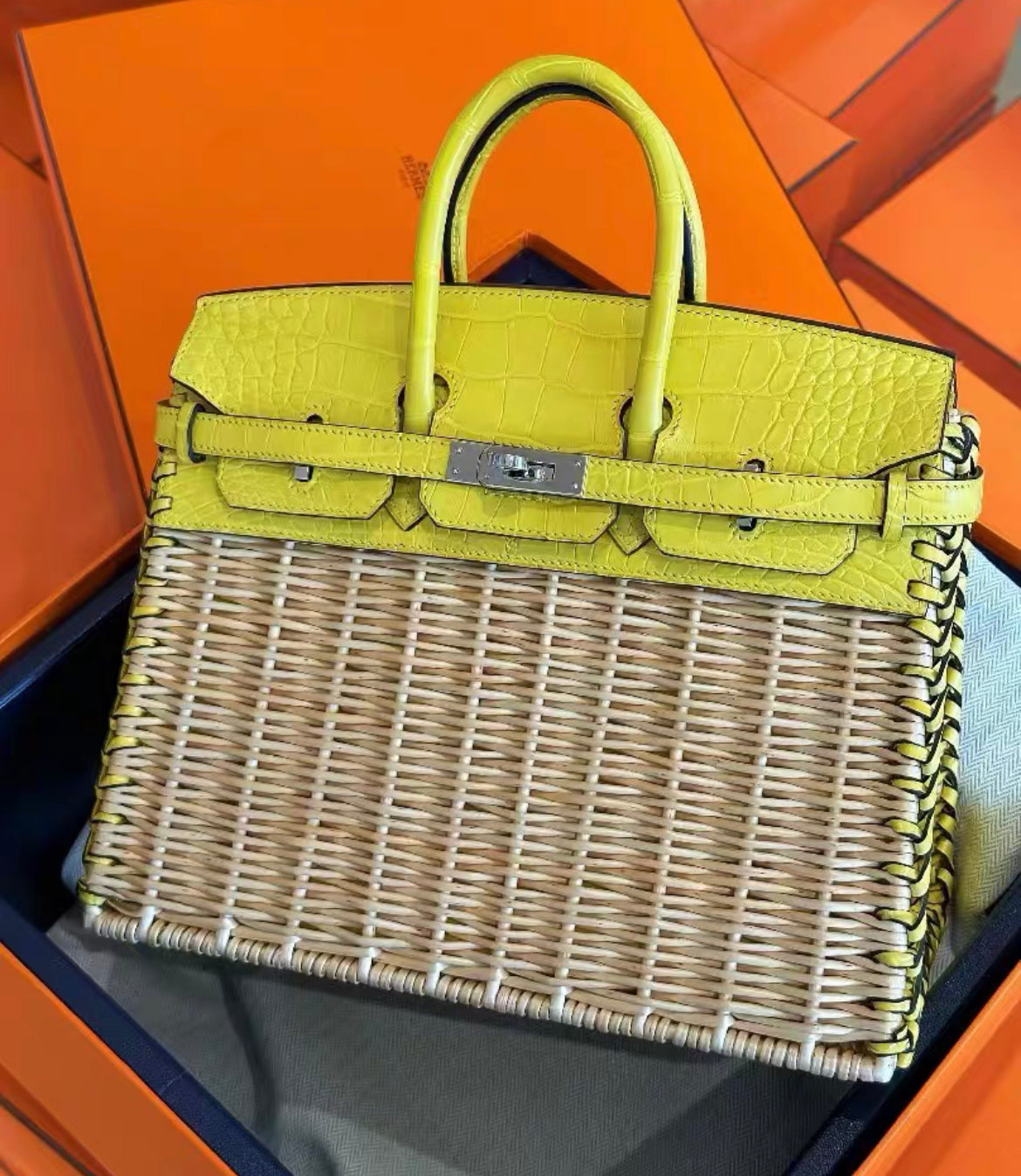 Hermès Birkin 25 Picnic Lime Matte Crocodile Palladium Hardware Horse stamp