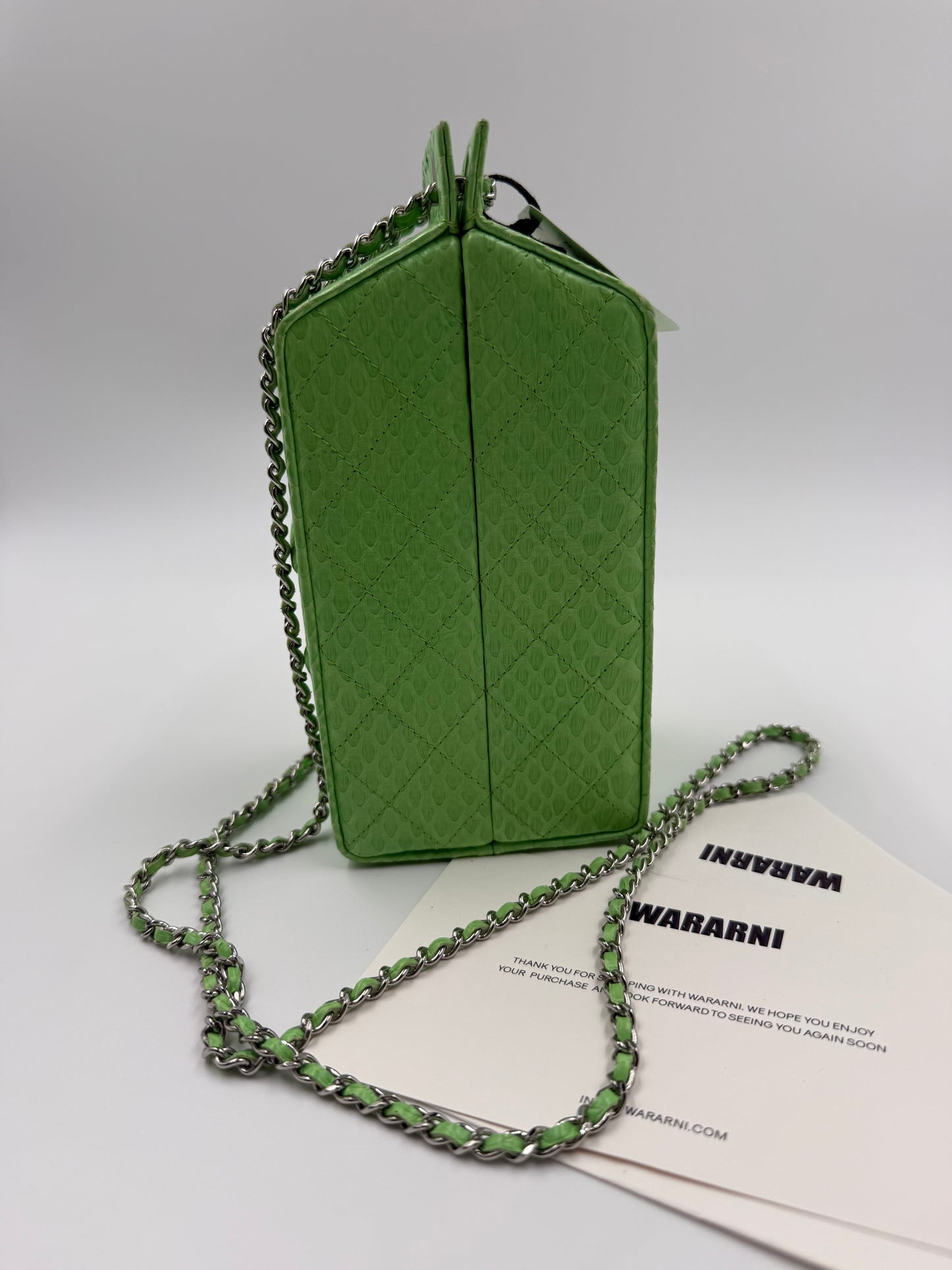 Chanel Green Python “Lait de Coco” Milk Carton Minaudière – Fall/Winter 2014 Supermarket Collection