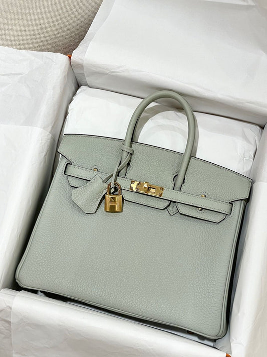 Hermes Birkin 25 Gris Neve Togo Gold Hardware