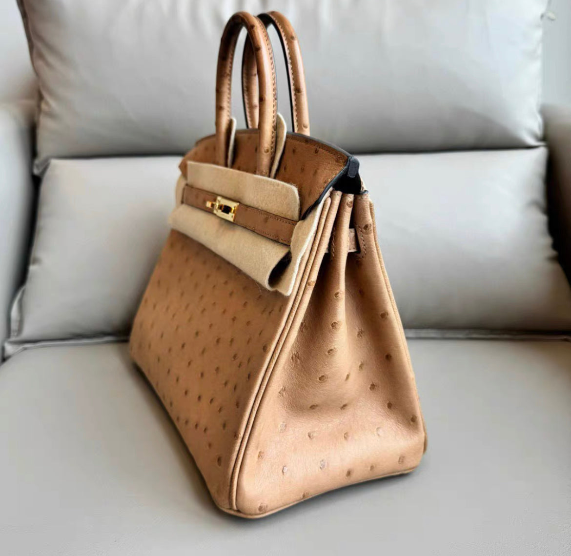 HERMÈS Ostrich Birkin 25 handbag in Chai with Gold hardware