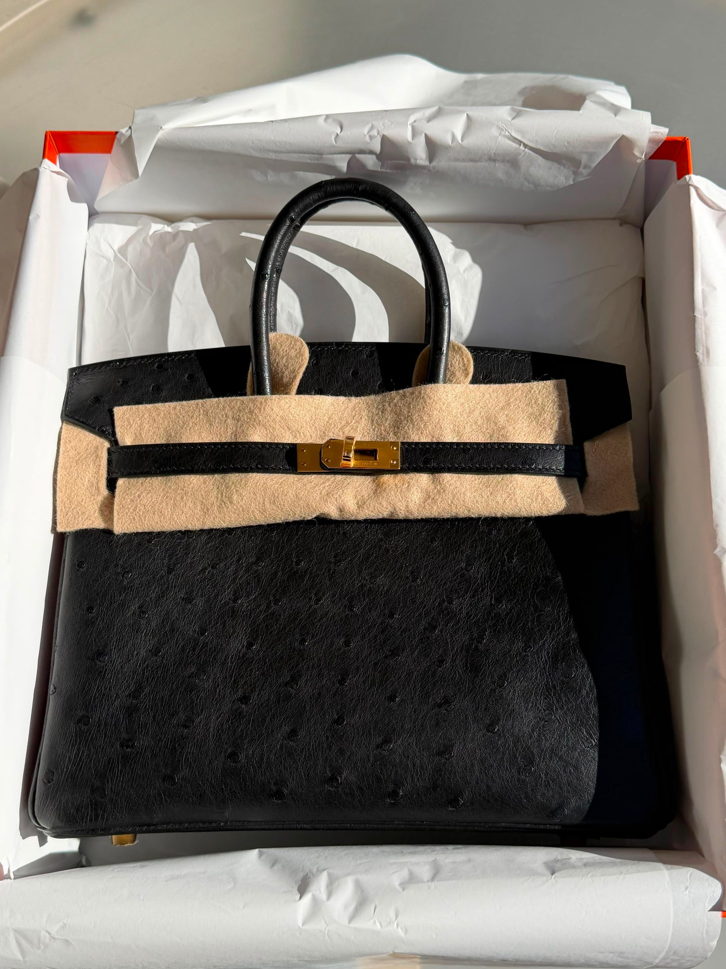 Hermes Birkin 25 Black Ostrich Gold Hardware