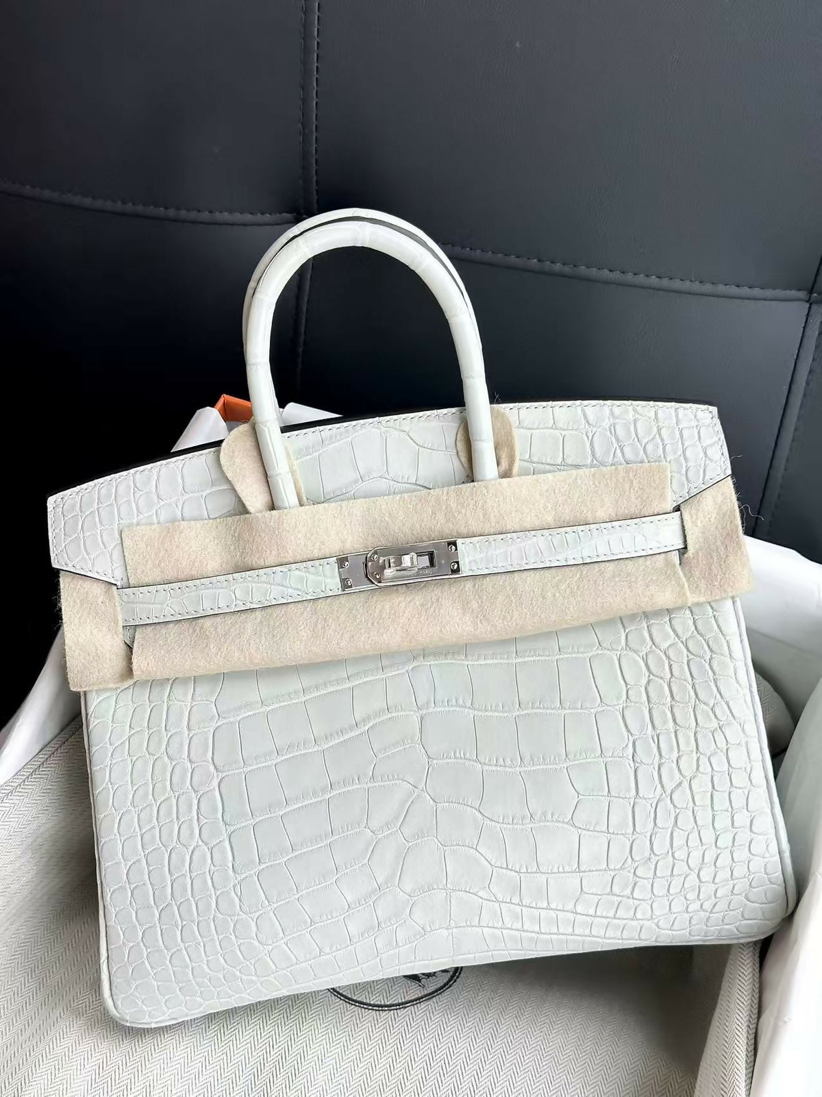 Hermès Birkin 25 Gris Neve (0W) Matte Crocodile with Palladium Hardware