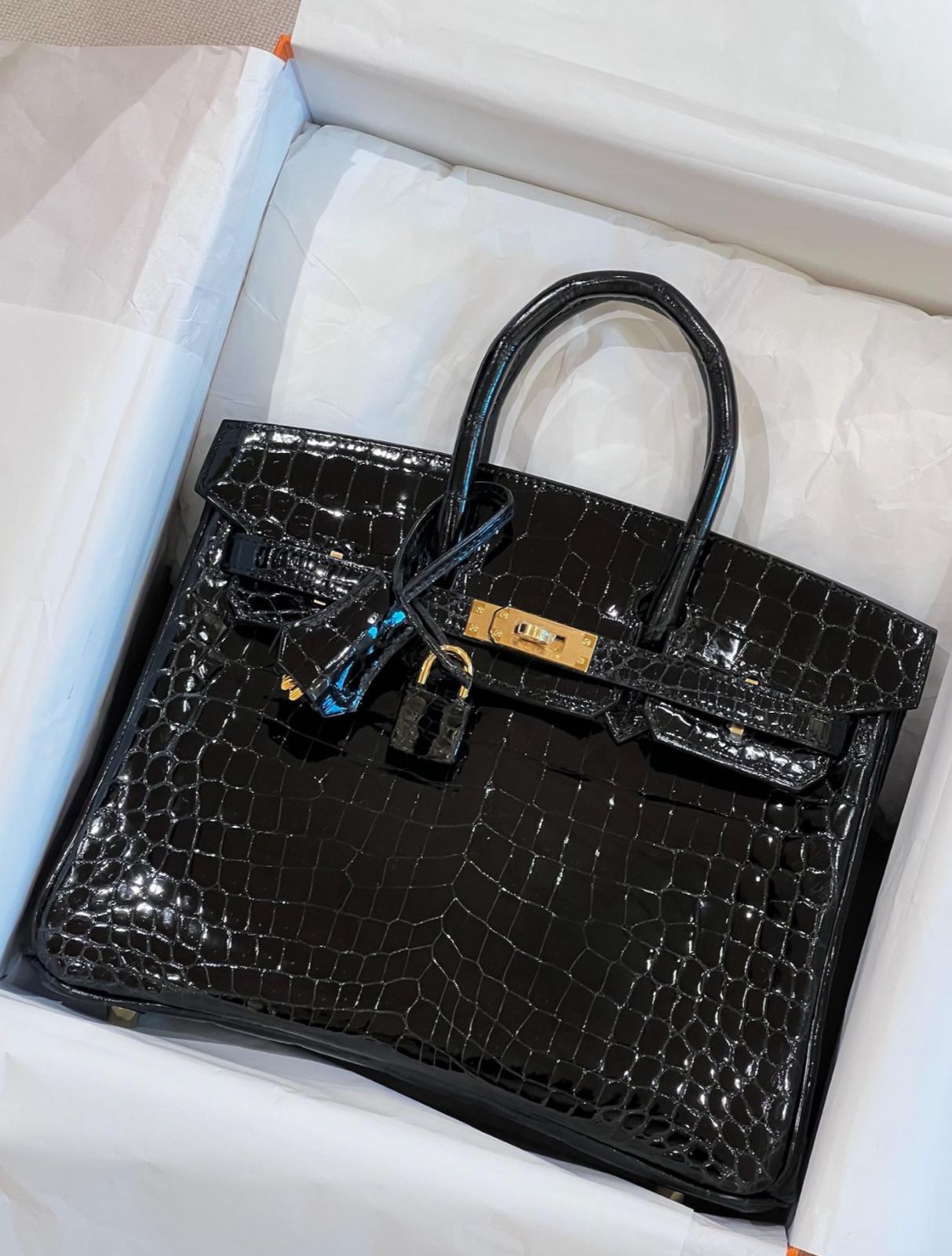 Hermes Birkin 25 Black Shiny Niloticus Gold hardware