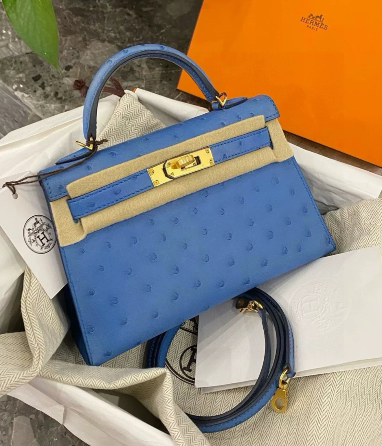 Hermès Mini Kelly bleuet Ostrich leather Gold Hardware