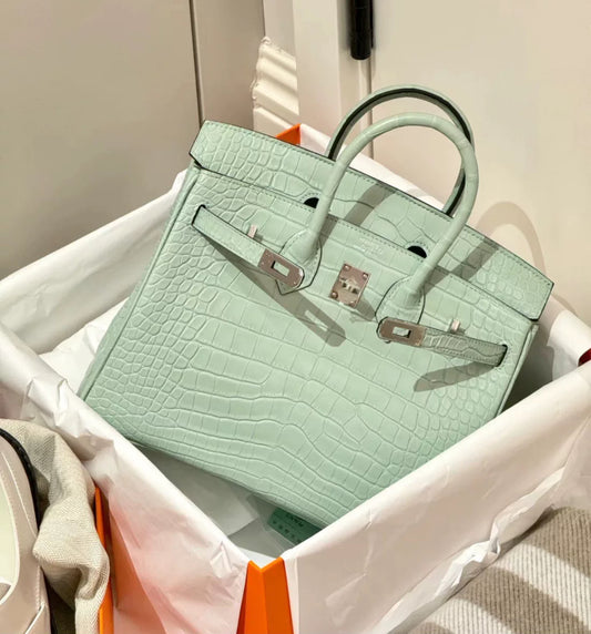 Hermès Birkin 25 Vert d'Eau Matt Alligator Palladium Hardware