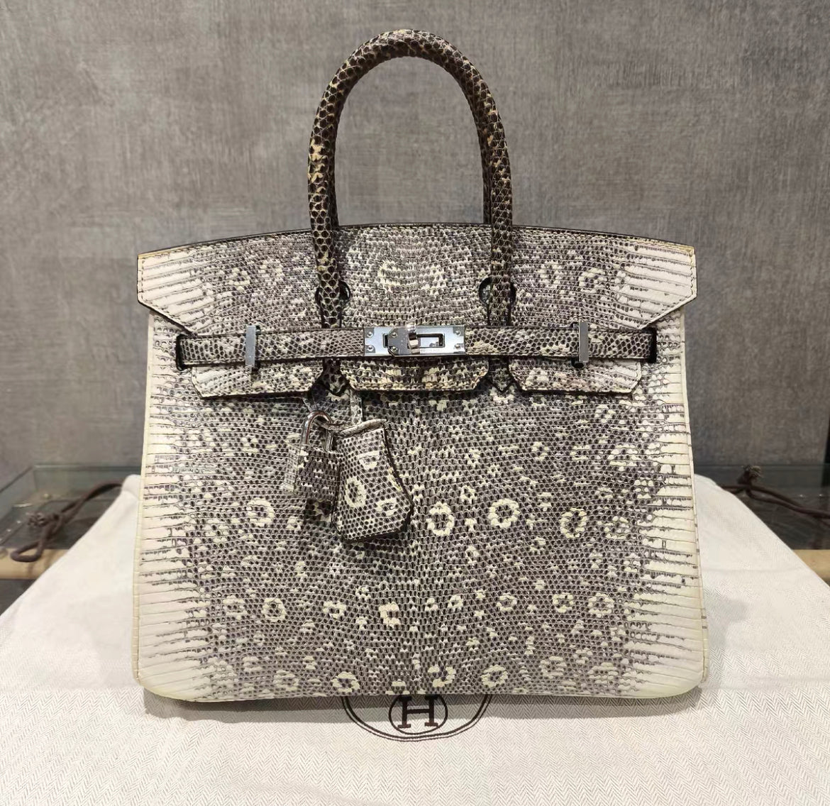HERMÈS BIRKIN 25 SELLIER OMBRE LIZARD PALLADIUM HARDWARE – Wararni.com