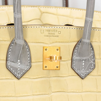 Hermes Birkin 25 HSS Vanille Gris Perle Matte Alligator Brushed Gold hardware