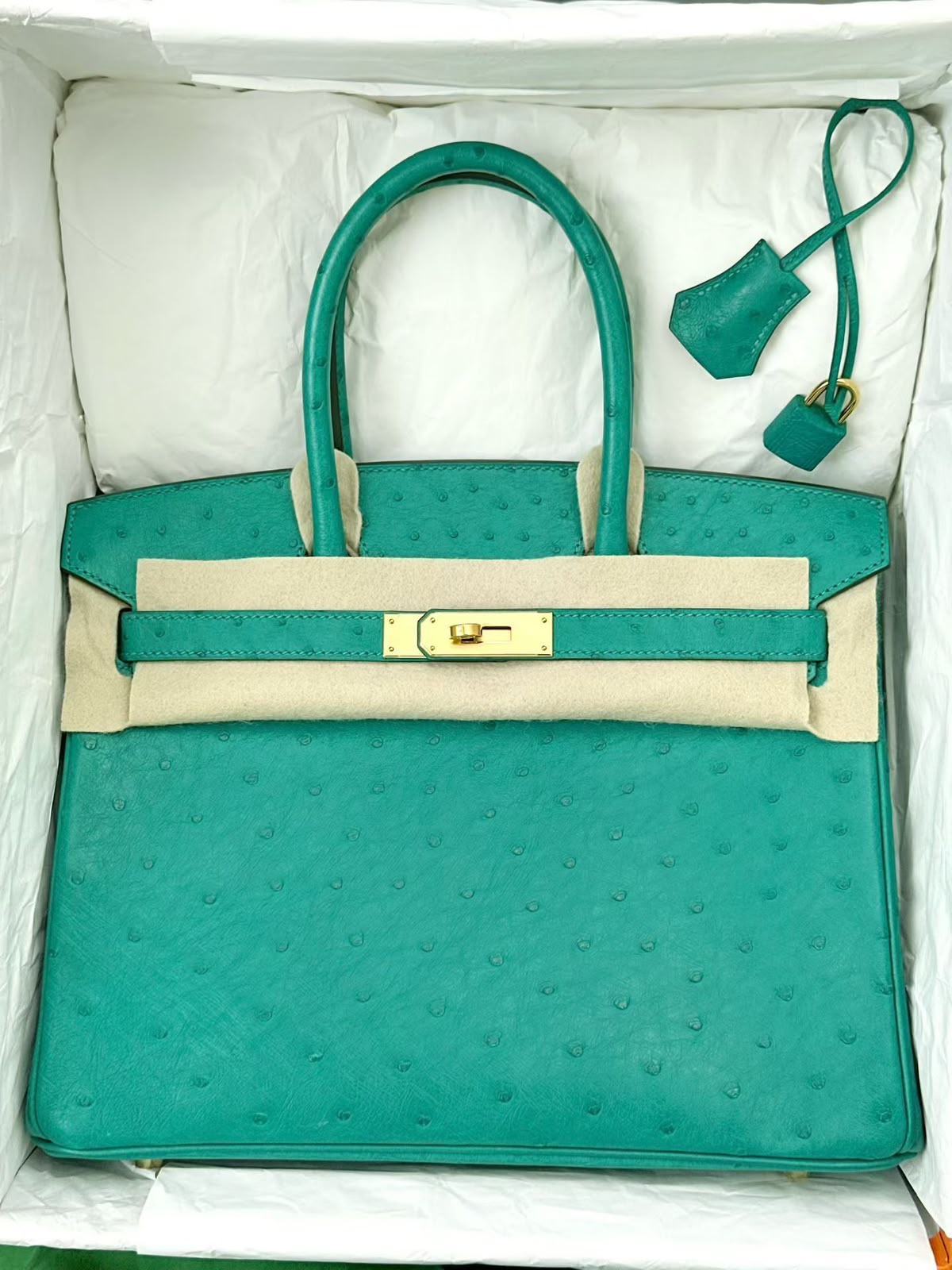 Hermes Birkin 30 Vert Verone Ostrich Gold hardware