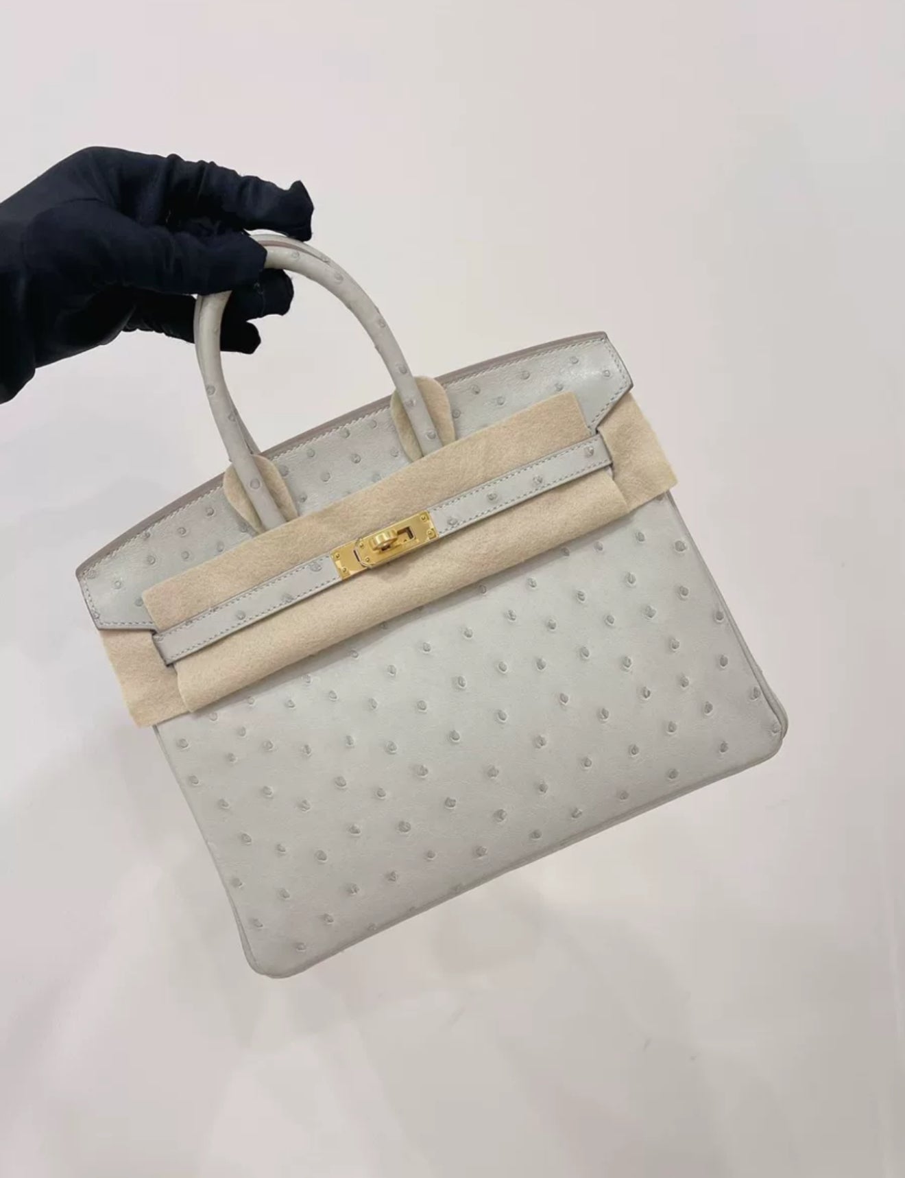 Hermès Birkin 25 Gris Perle Ostrich Gold Hardware