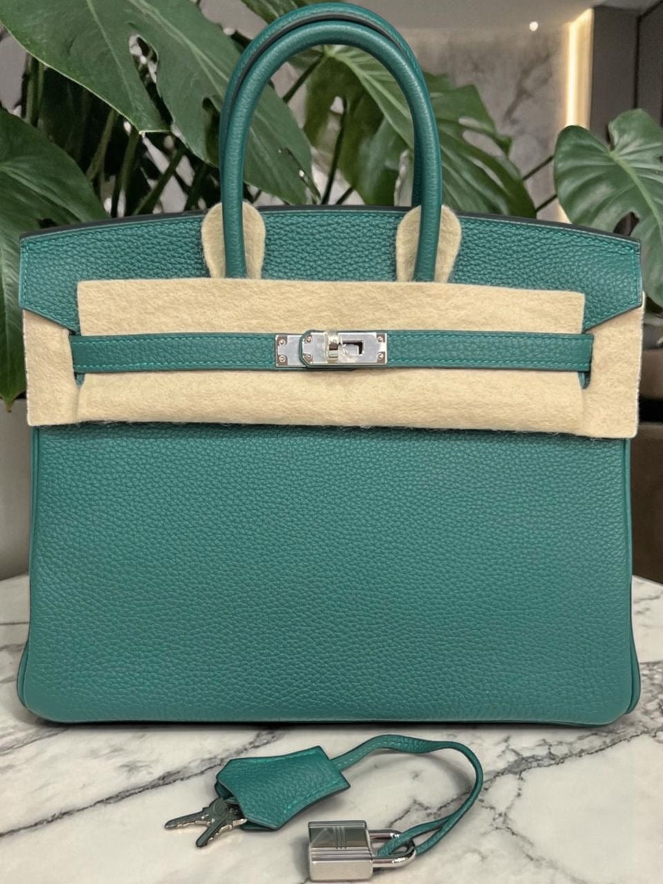 Hermes Birkin 25 Malachite Togo Palladium Hardware