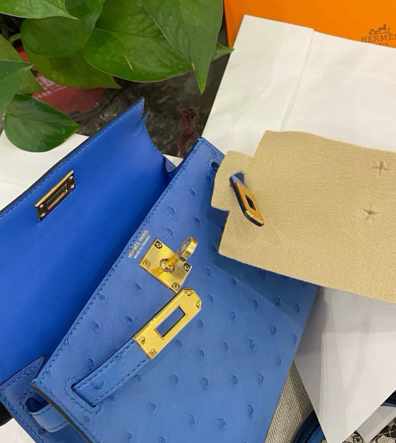 Hermès Mini Kelly bleuet Ostrich leather Gold Hardware – Wararni.com