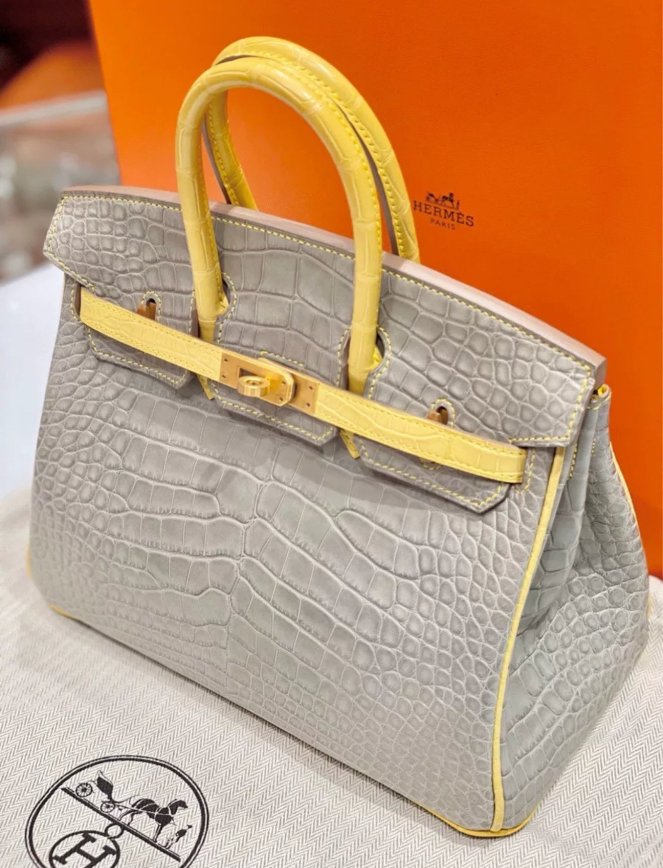 Hermès Birkin 25 Gris Perle and Mimosa Matte Alligator Brushed