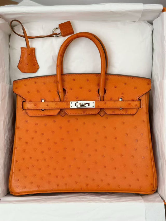 Hermes Birkin 25 Orange ostrich leather palladium hardware