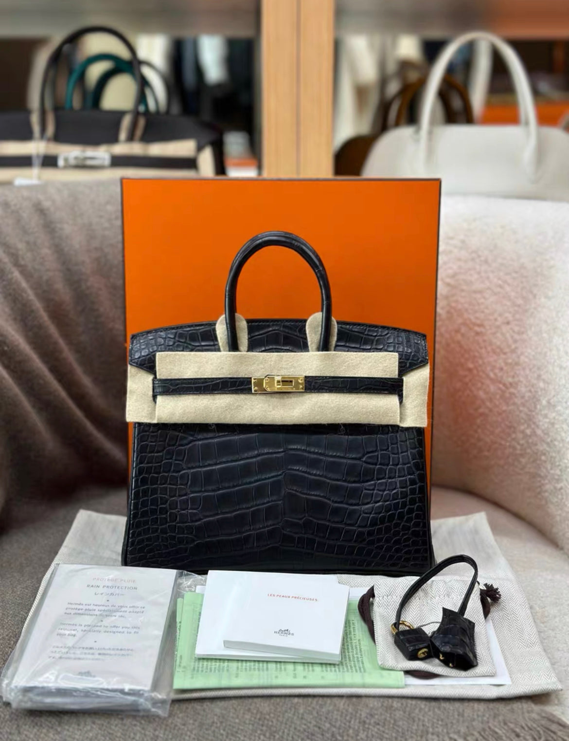 Hermès Birkin 25 Black Matte Crocodile leather Gold Hardware