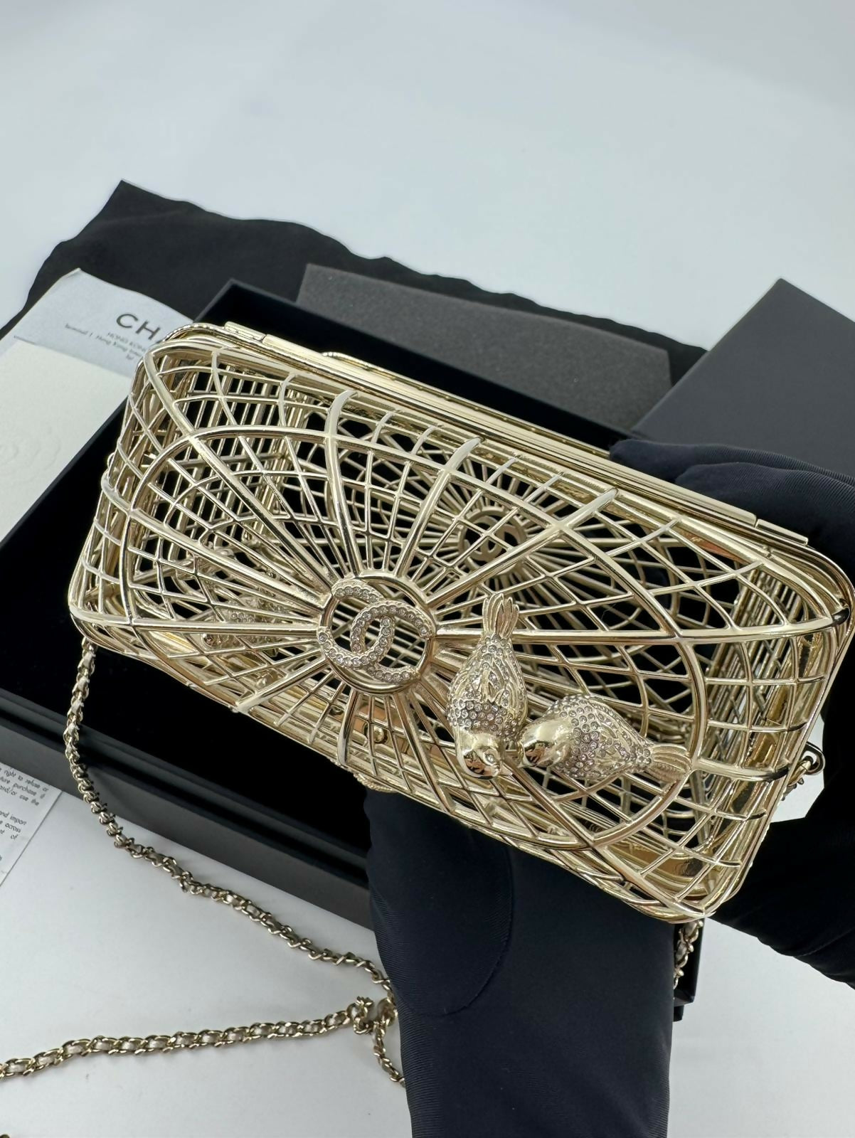 Chanel 2025 Rhinestone and Metal Embellishments Light Gold Birdcage Minaudière Bag