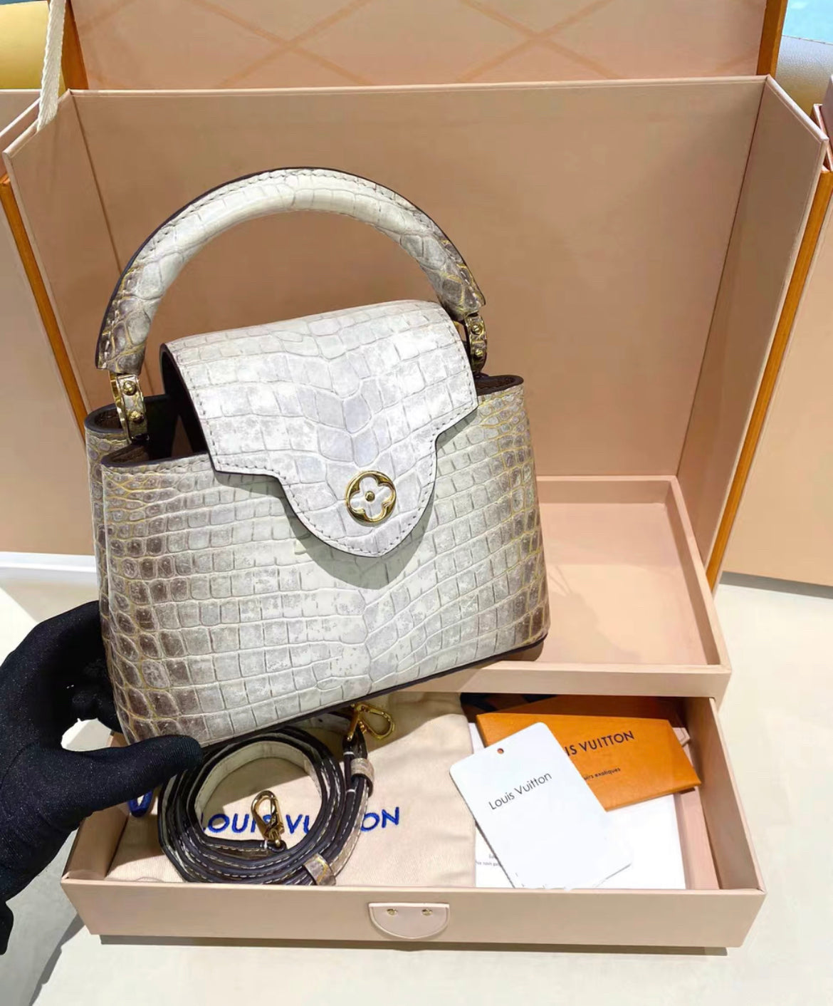 Louis Vuitton White Matte Himalaya Crocodile Mini Capucines