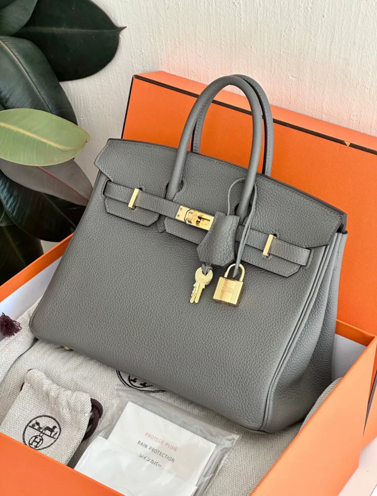 Hermès Birkin 25 Gris Meyer Togo Gold Hardware