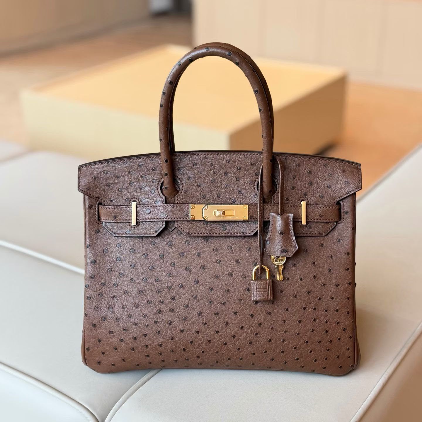 Hermes Birkin 30 Chocolate Ostrich Leather Gold Hardware