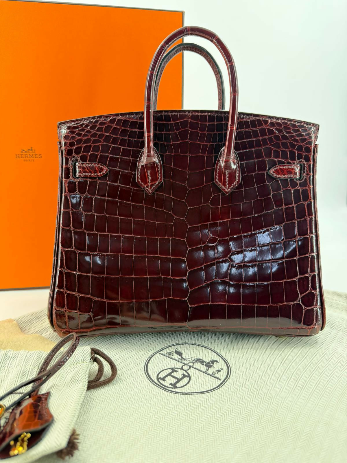 Hermes Birkin 25 Bordeaux Crocodile Leather Handbag with Gold hardware