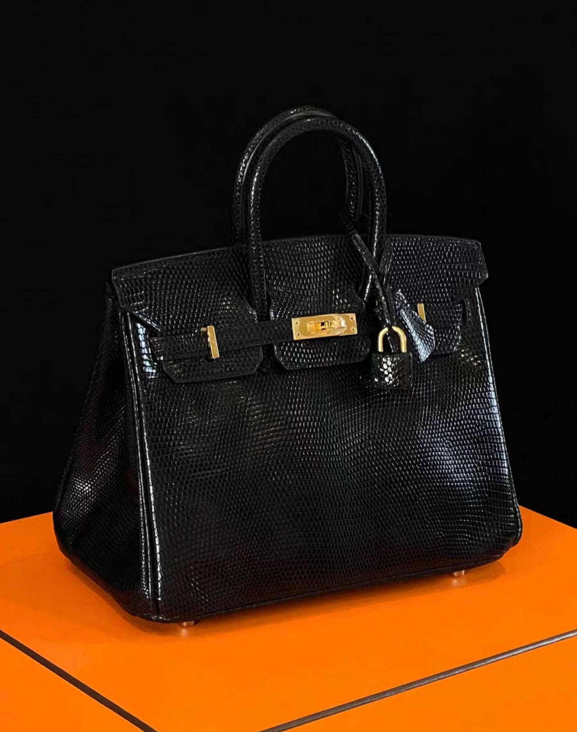 HERMÈS BIRKIN 25 SELLIER BLACK SHINY LIZARD GOLD HARDWARE