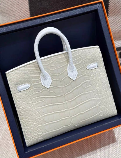 Hermès 20cm Birkin Sellier Faubourg House White Snow Palladium Hardware