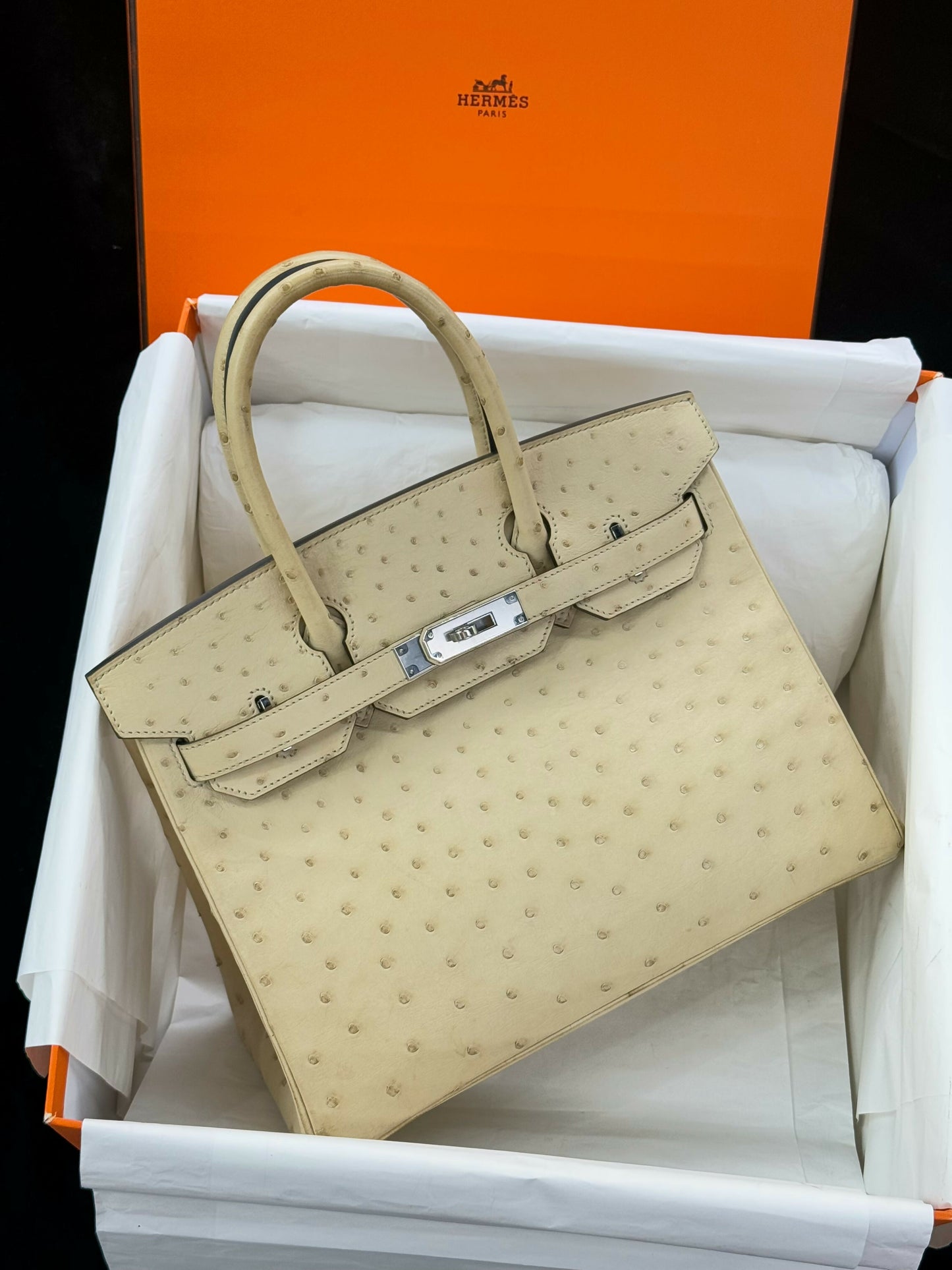 Hermès Birkin 30 Parchemin (3C) Ostrich Leather with Palladium Hardware