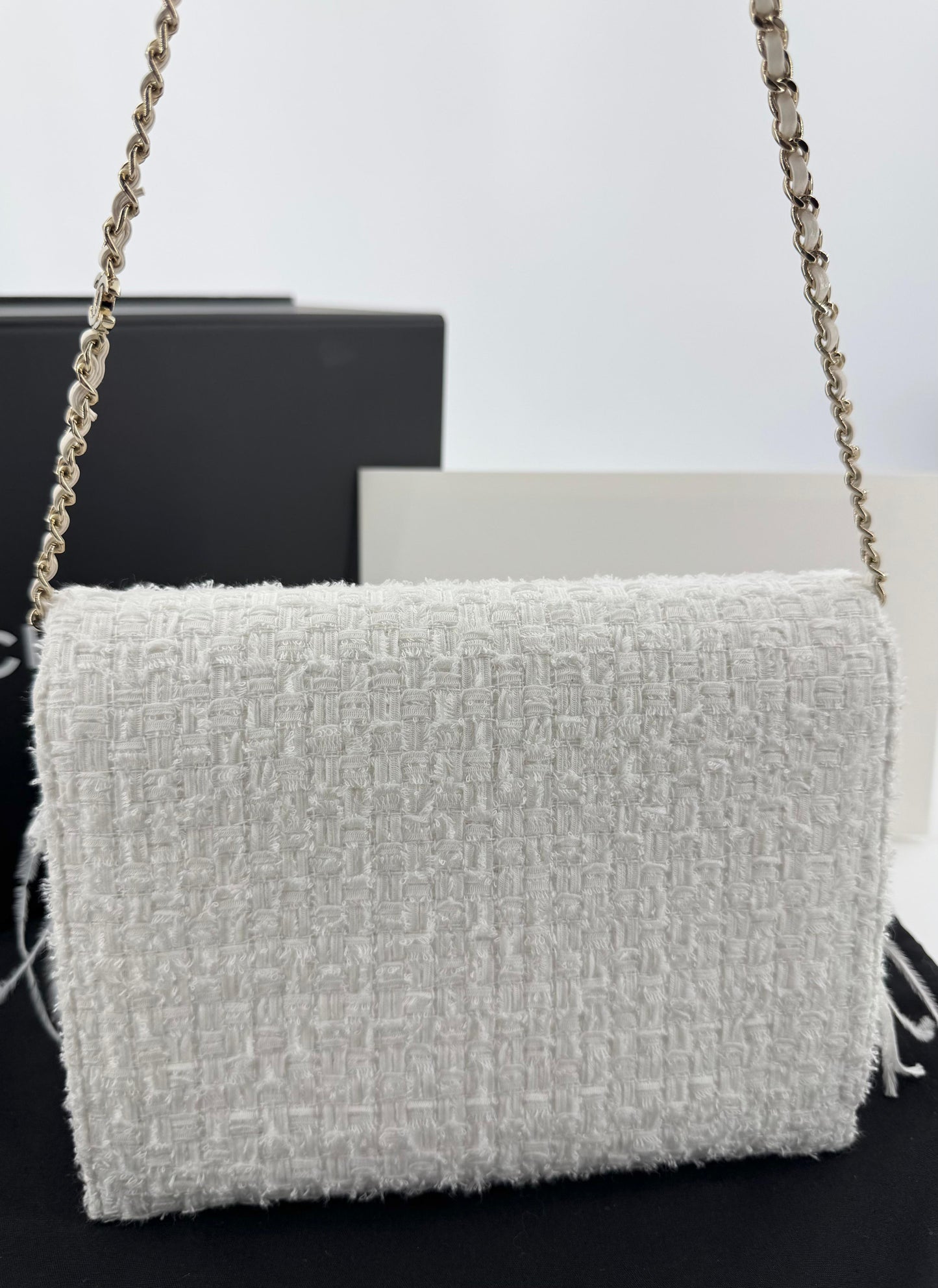 Chanel 25S Embroidered Tweed, Feathers, Imitation Pearls & Gold-Tone Metal Clutch in White