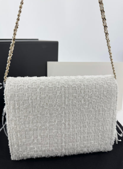 Chanel 25S Embroidered Tweed, Feathers, Imitation Pearls & Gold-Tone Metal Clutch in White